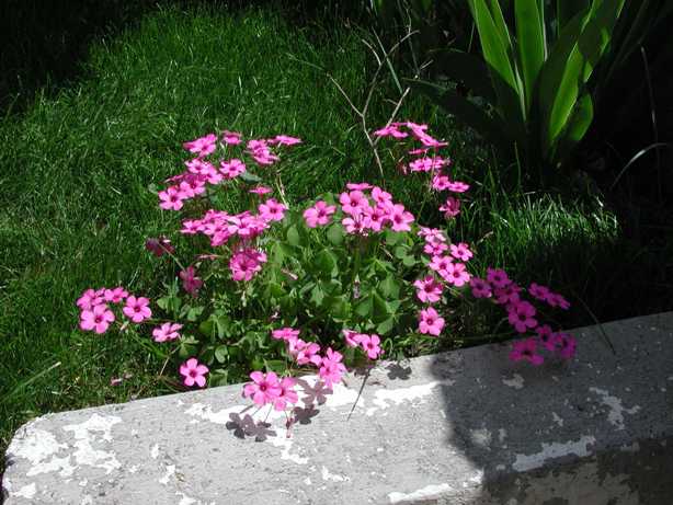 Name:  EPSN0109.JPG
Views: 4329
Size:  47.1 KB