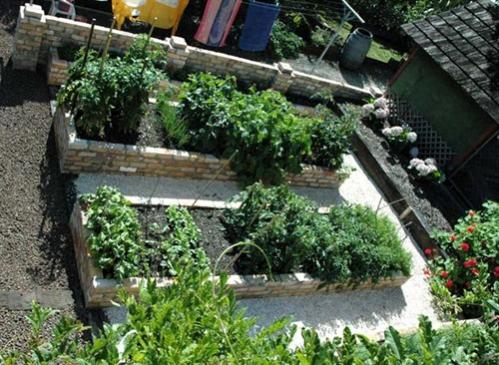 Name:  3_raised_vegetable_garden.jpg
Views: 5567
Size:  50.9 KB