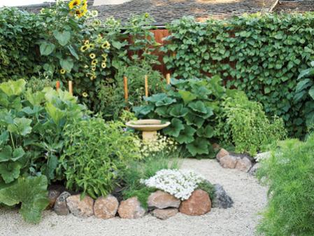 Name:  veggiegarden0308e.jpg
Views: 1725
Size:  43.2 KB