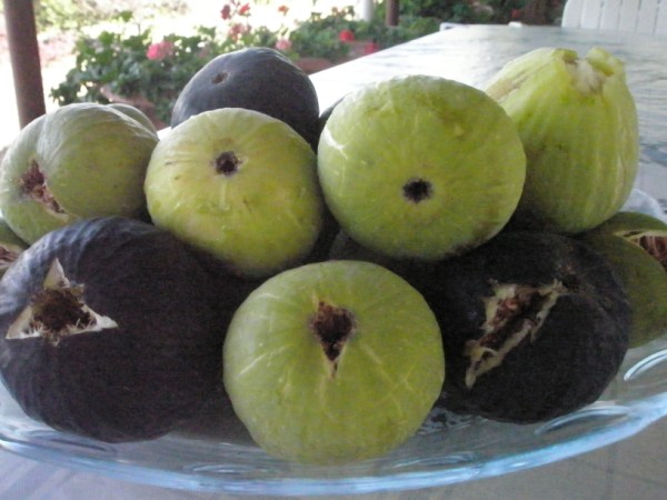 Name:  guler incr.jpg
Views: 1104
Size:  60.6 KB