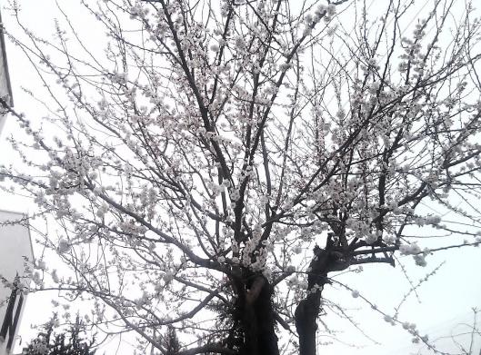 Name:  Fotoraf0266.jpg
Views: 807
Size:  72.3 KB