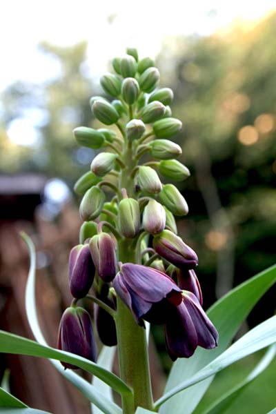 Name:  006.JPG
Views: 1250
Size:  56.8 KB