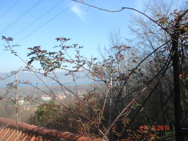Name:  DSC09176.jpg
Views: 770
Size:  67.0 KB
