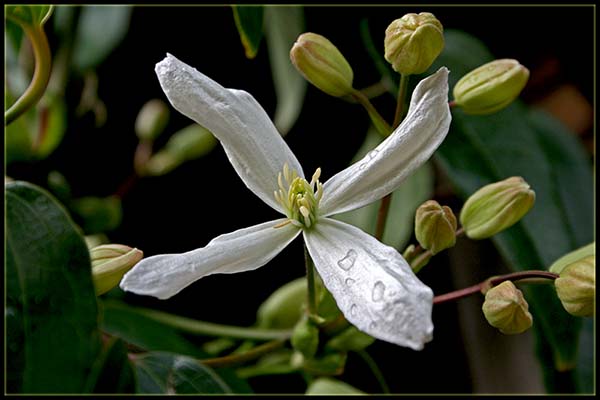 Name:  021.JPG
Views: 1035
Size:  56.6 KB