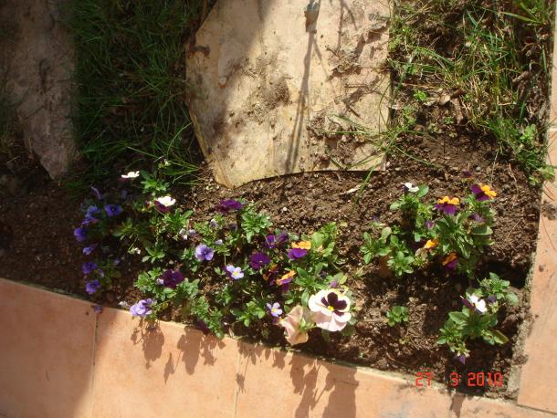 Name:  DSC09246.jpg
Views: 663
Size:  71.2 KB