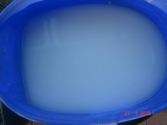 Name:  DSC09268.jpg
Views: 620
Size:  16.2 KB