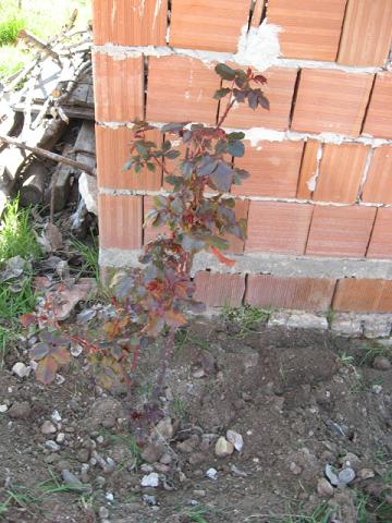 Name:  gl1.JPG
Views: 3098
Size:  50.9 KB