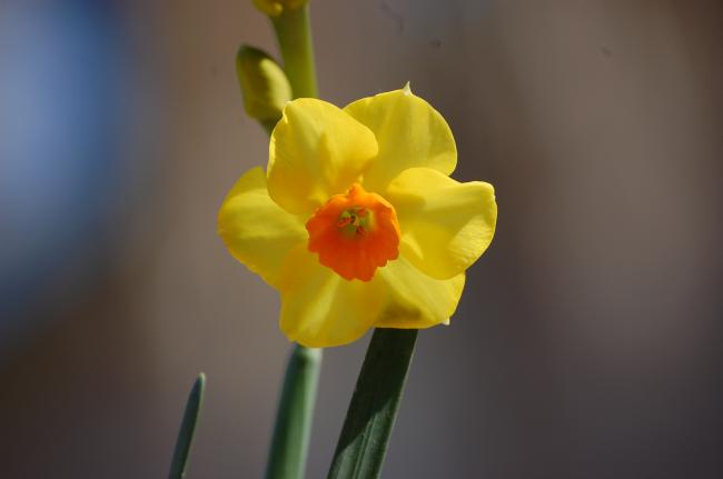 Name:  c.jpg
Views: 1631
Size:  15.2 KB