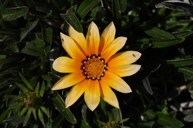 Name:  DSC_0105.jpg
Views: 1561
Size:  39.2 KB