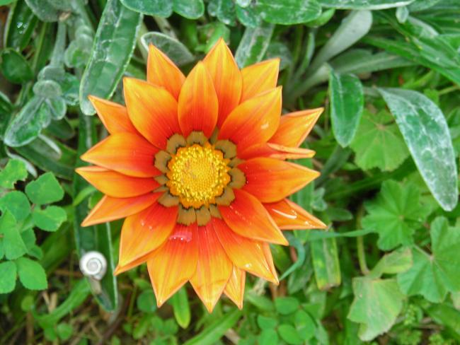 Name:  DSCN1578.jpg
Views: 1415
Size:  51.0 KB