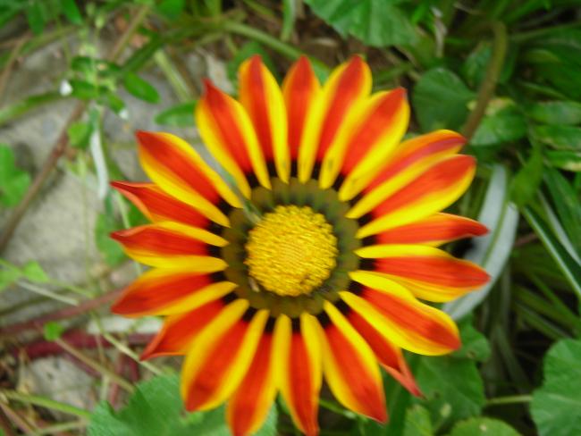 Name:  DSCN1579.jpg
Views: 1442
Size:  43.6 KB