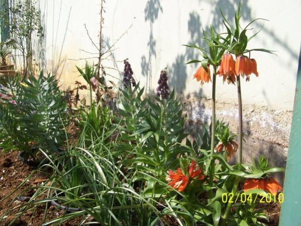 Name:  istanbulda3.jpg
Views: 1649
Size:  65.4 KB
