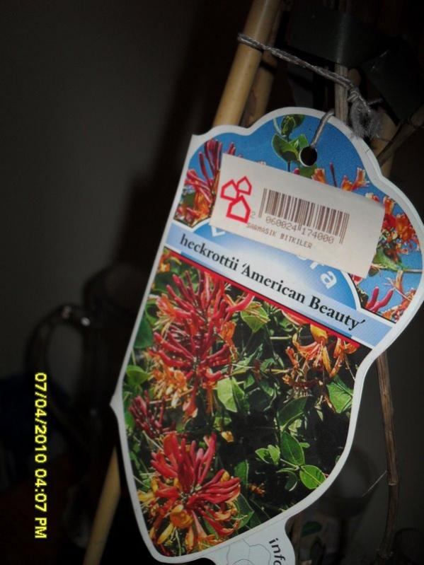 Name:  SDC12244.jpg
Views: 868
Size:  58.8 KB