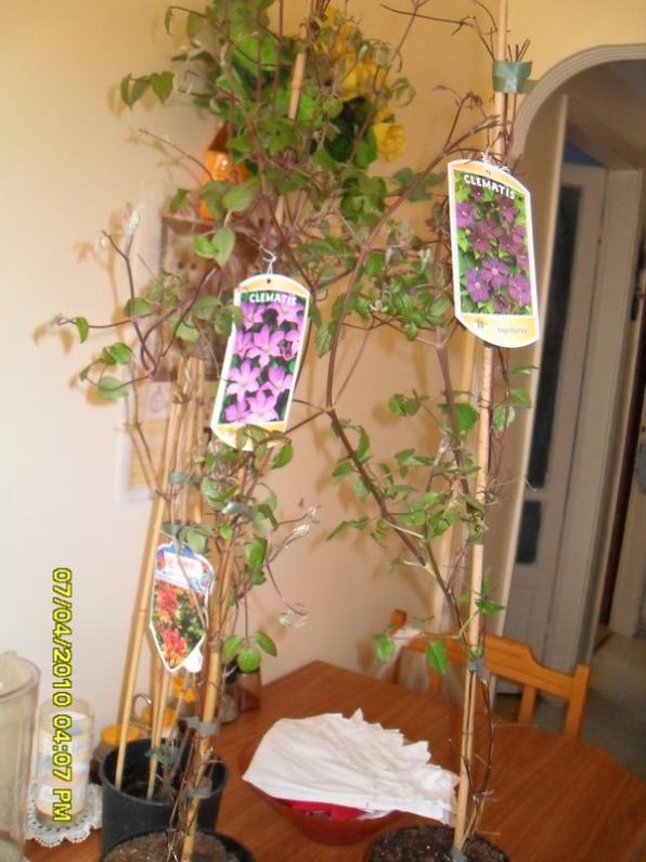 Name:  SDC12243.jpg
Views: 821
Size:  65.0 KB