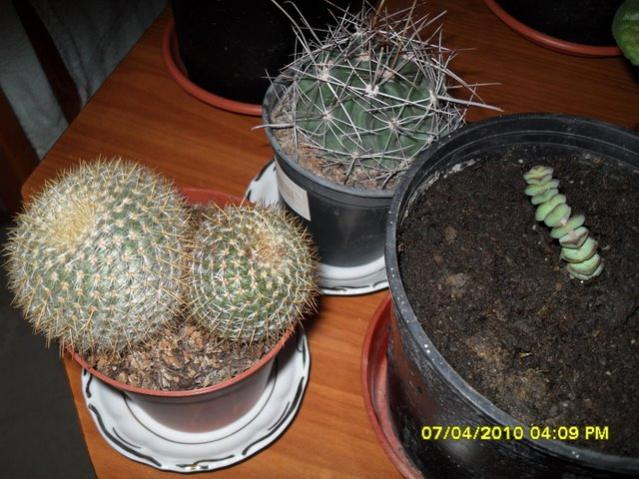Name:  SDC12247.jpg
Views: 788
Size:  56.9 KB