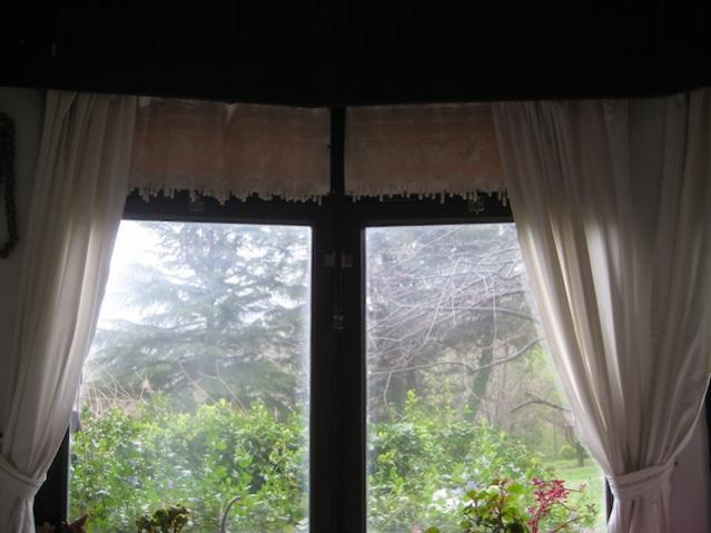 Name:  IMG_1846.jpg
Views: 716
Size:  37.0 KB
