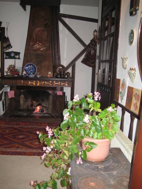 Name:  IMG_1849.jpg
Views: 686
Size:  48.2 KB
