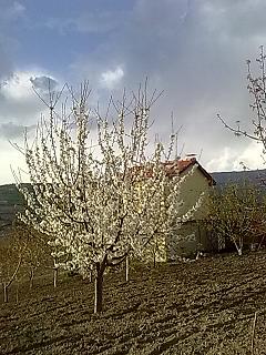 Name:  16 nisan 1.JPG
Views: 2256
Size:  30.9 KB