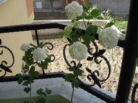 Name:  kartopu.JPG
Views: 2272
Size:  46.9 KB