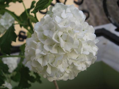 Name:  kartopu1.JPG
Views: 2201
Size:  27.6 KB