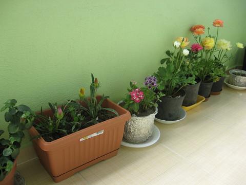 Name:  toplu.JPG
Views: 2207
Size:  27.2 KB