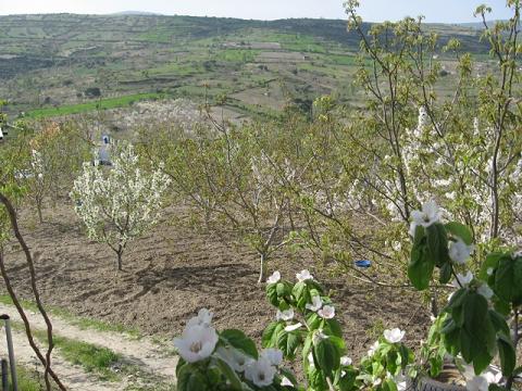 Name:  ilkbahar m.JPG
Views: 2459
Size:  60.8 KB