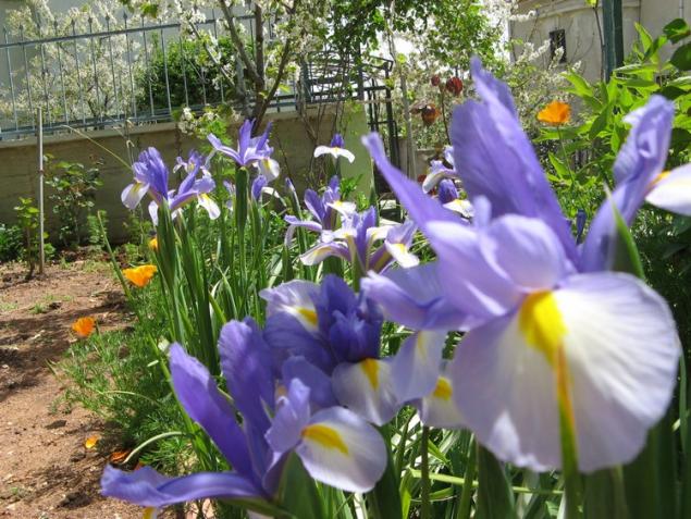 Name:  ssenlerim.jpg
Views: 1163
Size:  70.5 KB