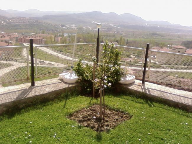 Name:  teyzemin bahesi 032.jpg
Views: 2378
Size:  64.5 KB