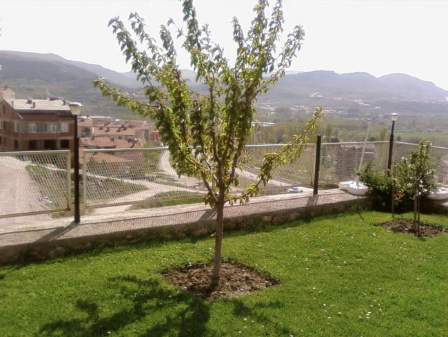 Name:  teyzemin bahesi 036.jpg
Views: 2366
Size:  62.1 KB