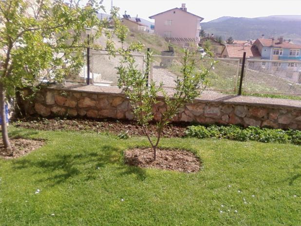 Name:  teyzemin bahesi 048.jpg
Views: 2389
Size:  70.5 KB