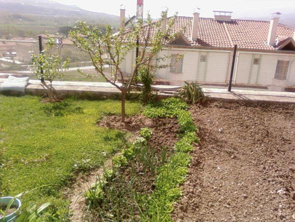 Name:  teyzemin bahesi 070.jpg
Views: 2834
Size:  71.6 KB