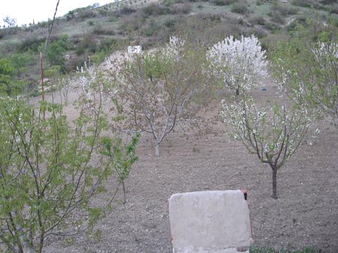 Name:  st taraf.JPG
Views: 1845
Size:  47.0 KB