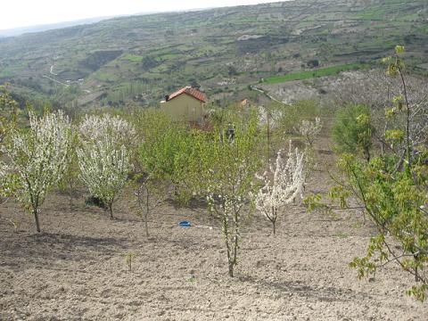 Name:  yukardan grn.JPG
Views: 1830
Size:  54.9 KB