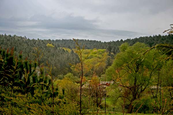 Name:  IMG_6582.JPG
Views: 898
Size:  66.4 KB