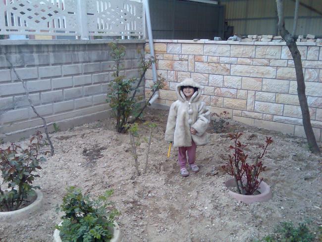 Name:  Grnt241.jpg
Views: 2064
Size:  67.5 KB