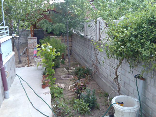 Name:  Grnt264.jpg
Views: 1881
Size:  70.3 KB