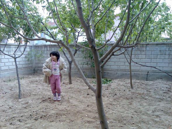 Name:  Grnt266.jpg
Views: 1865
Size:  71.2 KB
