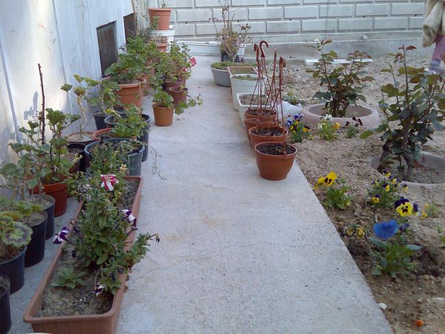 Name:  Grnt271.jpg
Views: 1864
Size:  66.2 KB