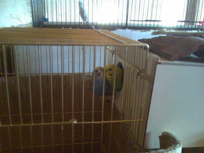 Name:  Grnt277.jpg
Views: 1793
Size:  40.2 KB