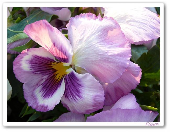 Name:  a4.jpg
Views: 971
Size:  47.4 KB