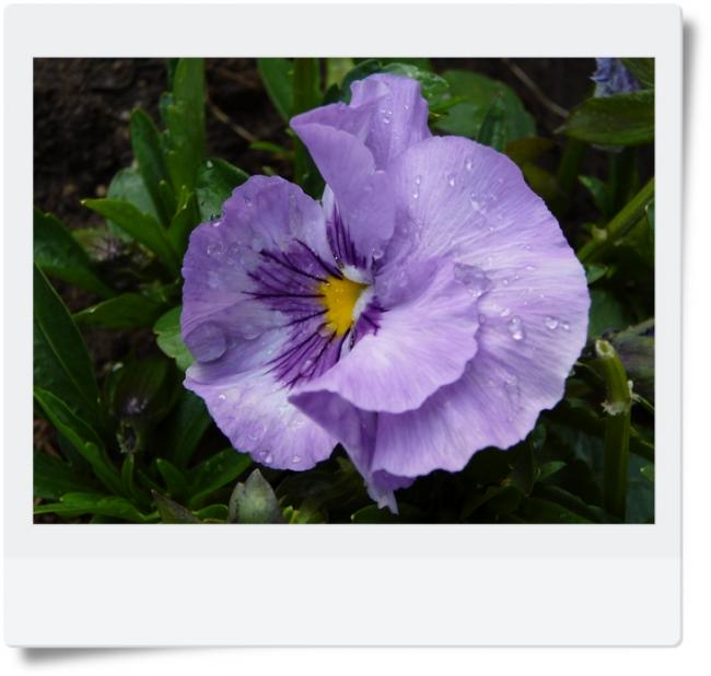 Name:  a5.jpg
Views: 970
Size:  39.6 KB