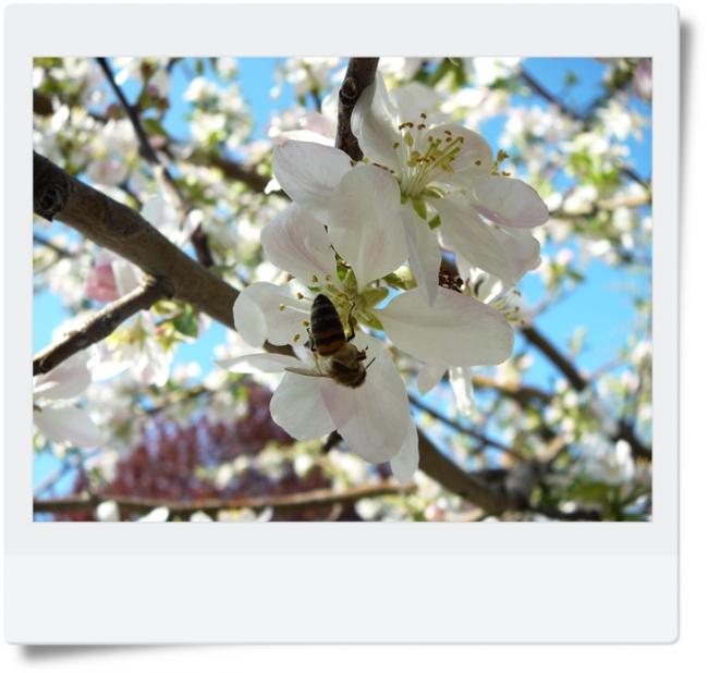 Name:  a3.jpg
Views: 966
Size:  45.1 KB
