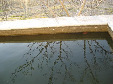 Name:  yansma.JPG
Views: 1788
Size:  35.2 KB