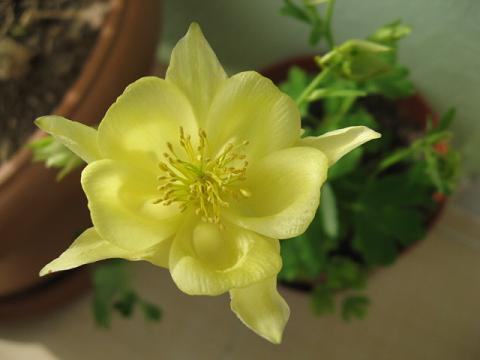 Name:  haseki.JPG
Views: 2199
Size:  24.4 KB