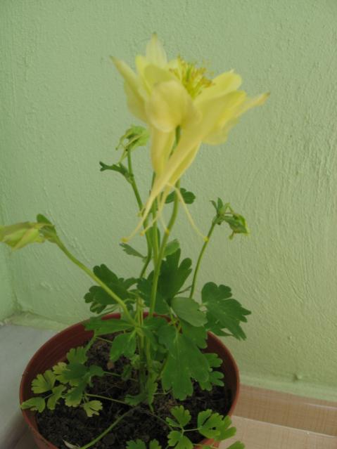 Name:  Resim 021.jpg
Views: 2154
Size:  32.3 KB