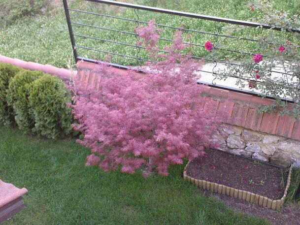 Name:  KIRMIZI ACER 4.jpg
Views: 2562
Size:  70.9 KB
