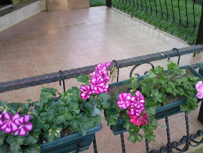 Name:  SARDUNYA 1.jpg
Views: 1727
Size:  63.8 KB