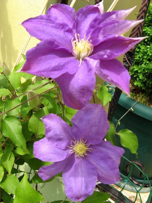 Name:  ccclm.jpg
Views: 1108
Size:  63.4 KB