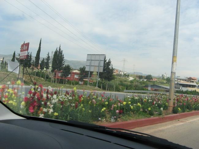 Name:  yol.jpg
Views: 1045
Size:  39.9 KB