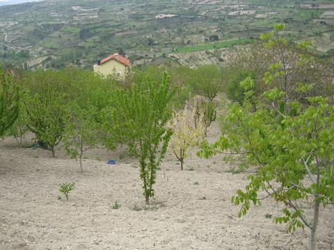 Name:  su deposundan grn.JPG
Views: 1702
Size:  48.2 KB